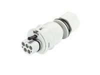 Wieland 96.046.6153.0 RST20I4S S1 M13V GL connector adapter