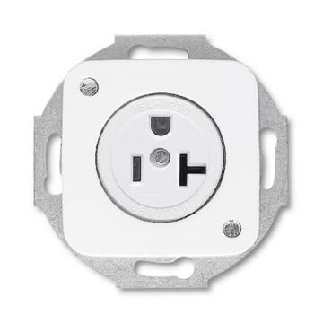 Busch-Jaeger 3016 EUC-214-101 Busch-Nema socket insert with central plate, 2-pole (2 P + E), 20 A alpine white
