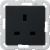 Gira 2776005 BS 13 A SH System 55 black socket