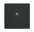 Busch-Jaeger 6234-10-885 rocker switch, 1-way, with symbol 'Dimmer' black matt