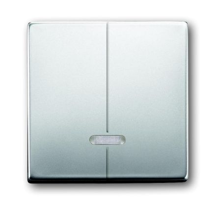 Busch-Jaeger 6545-866 control element, with glow lamp stainless steel