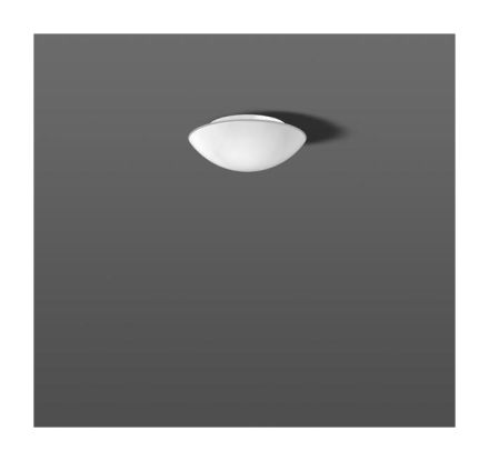 RZB 211006.002 white wall / ceiling light LB19