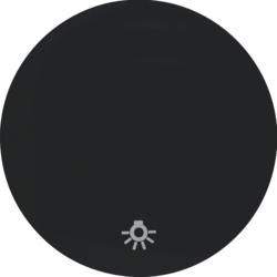 Berker 16202035 rocker with imprint symbol light black, glossy Berker R.1/R.3