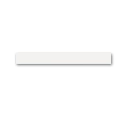 BUSCH-JAEGER 6348-811-101 end strip priOn | top | white glass