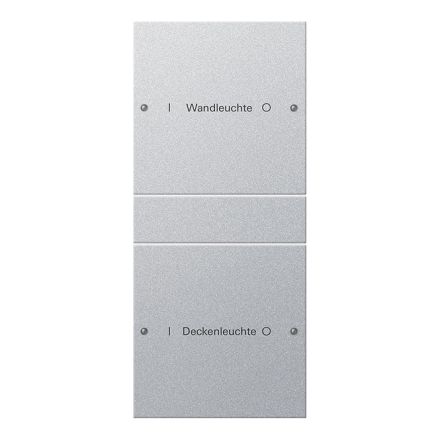 GIRA 220226 TS3 rocker set for label service System 55 | 2-way (1+1) | aluminum
