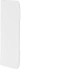 TEHALIT G12639010 End plate G1263 RAL9010 pure white