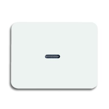 Busch-Jaeger 1787-24G rocker switch, with small transparent dome, studio white high gloss