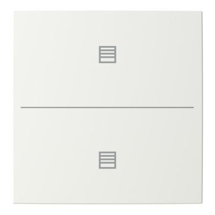 BUSCH-JAEGER LFJT/A.2.55.11-914 Button for Keypad balance SI | 2-way, blind | alpine white