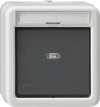 Gira 011231 rocker switch off 2-pole control WD surface-mounted grey