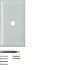 Berker 1311 glass cover plate clear Berker TS