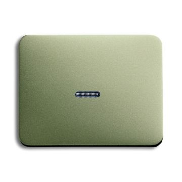 Busch-Jaeger 1787-260 rocker switch, with small transparent dome palladium