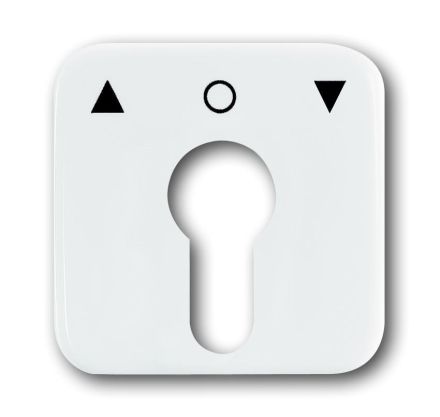 Busch-Jaeger 2557 PZ-214-101 central plate, with print alpine white