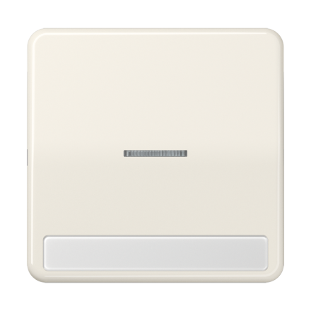 Jung CD590NAKO5 rocker switch 1-way with light guide, with label field, Duroplast, CD series, white