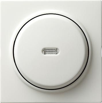 Gira 013640 push button switch control change S-Color pure white