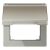 Jung AL2990NAKLD hinged cover with return spring, with label field, painted aluminium, LS series, dark (painted aluminium)