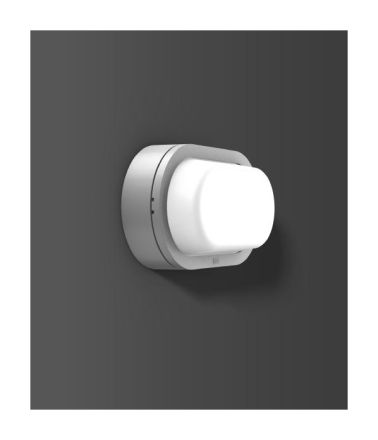 RZB 582061.004.1 Alu-Lux oval 8W 470lm 840 silver LED wall / ceiling light