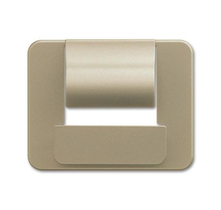 Busch-Jaeger 6477-260 Central plate for Busch-powerDock palladium