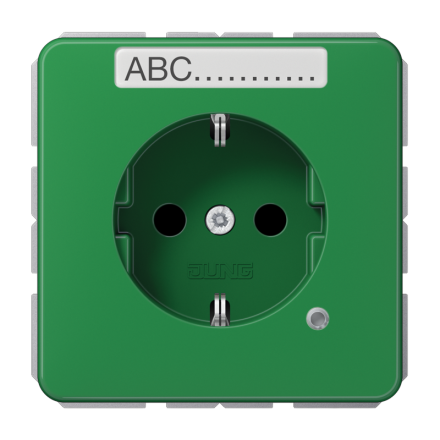 Jung CD1520BFNAKOGN SCHUKO socket, 16 A 250 V ~, without claws, with function display, with label field, integrated increased contact protection, SAFETY+, thermoplastic, Ser