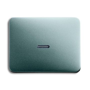 Busch-Jaeger 1787-266 rocker switch, with small transparent dome titanium