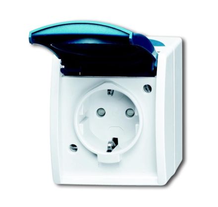 Busch-Jaeger 20 EBW-53 SCHUKO® socket, with increased contact protection grey/blue-green