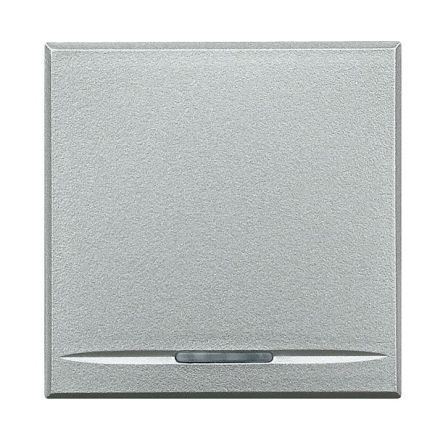 Bticino HC4915/2 rocker 2m alu, (aluminium)