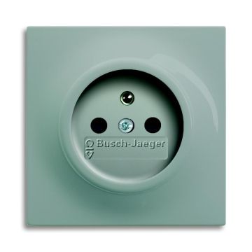 Busch-Jaeger 20 MUCKS-79-500 socket insert, with earthing pin special plugs champagne metallic
