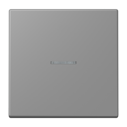 Jung BTLC17101203 JUNG HOME button 1-way, LS series, grey 31 ( LC32011 )