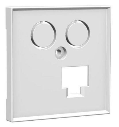 HomeWay one. TV+LAN 55x55mm traffic white central plate