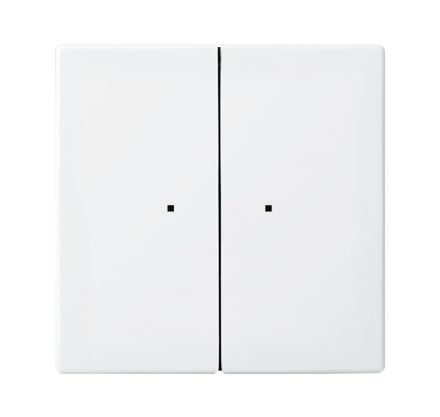 BUSCH-JAEGER 6732-914 wireless touch sensor WaveLINE Balance SI | 2-way | alpine white