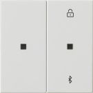 Gira 538103 S3000 BT System 55 rws blind and timer