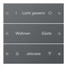 GIRA 220328 TS3 rocker set for label service System 55 | 3-way | anthracite