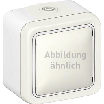 Legrand 069752 rocker switch 69752 1-pole FR AP Plexo IP55 white, (grey)