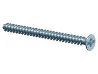 Kaiser PlusMinus 3.2x40mm gvz Pozidriv/Schlit device screw, 2472-40