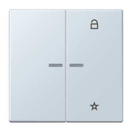 Jung FMLC1701209 eNet button universal 1-way 2-way, Duroplast, LS series, outer pale ( LC32023 )