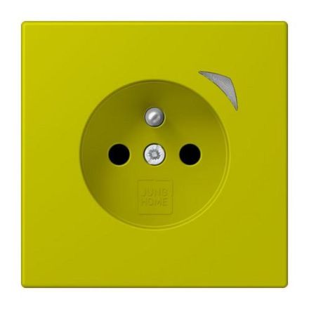 Jung BTLC1521FSE249 HOME Energy french socket
