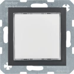 Berker 29511606 LED LIGHT RGB M DES Z-RA S.1/BX ANTH M
