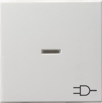 Gira 020927 rocker control symbol socket System 55 pure white matt