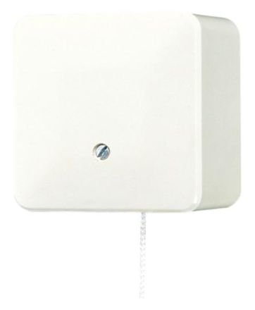 Jung 606ZA pull-to-change switch, universal off-change, 10 AX 250 V ~, AP 600, white