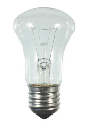 Scharnberger & Hasenbein 41731 Krypton 50x90mmE27 230V 60W clear lamp