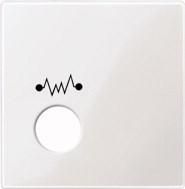 MERTEN 451219 Central plate polar white glossy System M