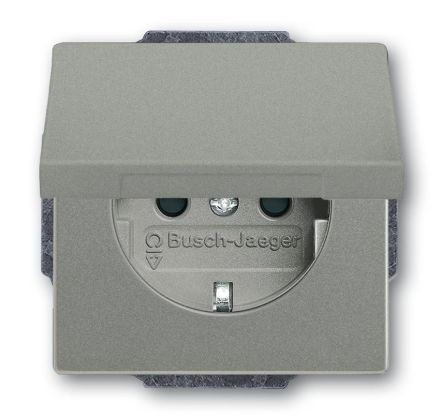 Busch-Jaeger 20 EUKB-803 SCHUKO® socket insert, with hinged cover, metallic grey