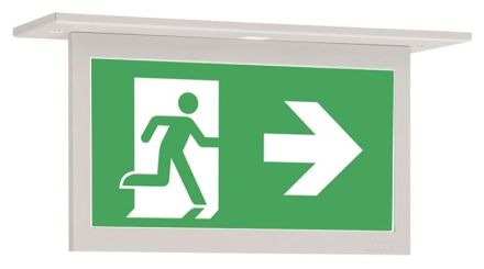 CEAG emergency light GuideLed 11824 1-8h/D CGLine+ built-in LED self-contained light