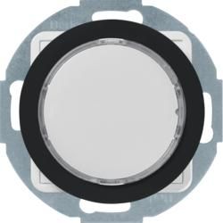 Berker 29512045 LED LIGHT RGB M DES Z-RA RX BLACK GLASS