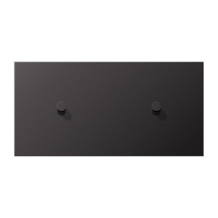 Jung AL12-200DK01 cover with rocker arm, cone, 2-way, 2 x 1 rocker arm, horizontal, series LS 1912, dark (painted aluminum)