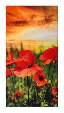 VITRAMO VL-A09060-B wall 900x600x17mm 400W printed infrared heater