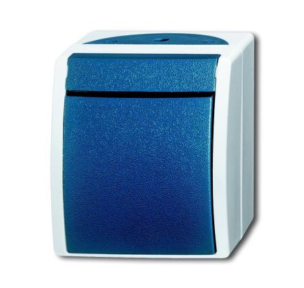Busch-Jaeger 2621 W-53 rocker switch, normally open grey/blue-green