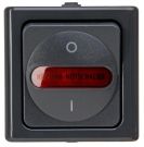 Kopp 562315000 AP-FR HzghptSch. BlueElectric anthracite heating main switch