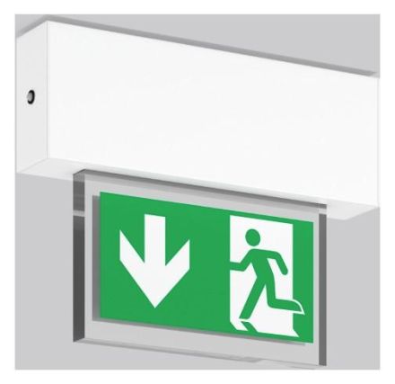 RZB 671504.002.1 Ceiling Halyxx LED/2.4W-400 LED emergency light
