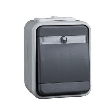 ELSO 441649 10A AquaTop light/basalt grey control changeover switch
