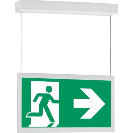 CEAG emergency light GuideLed 11825 1-8h/D CGLine+ cable-dependent LED self-contained light